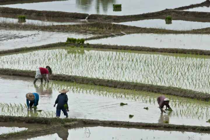 6-tips-for-livestock-farmers-to-save-water