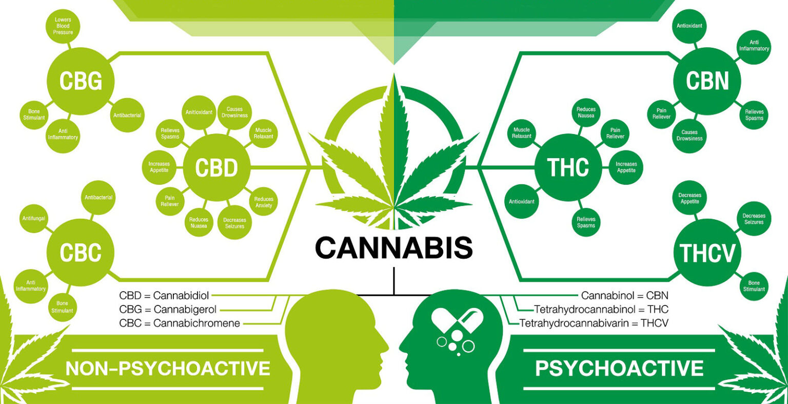 How Do You Analyze Cannabinoids - 2024 Guide